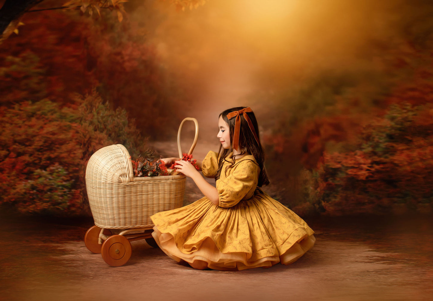 Emma's Enchanted Doll Pram