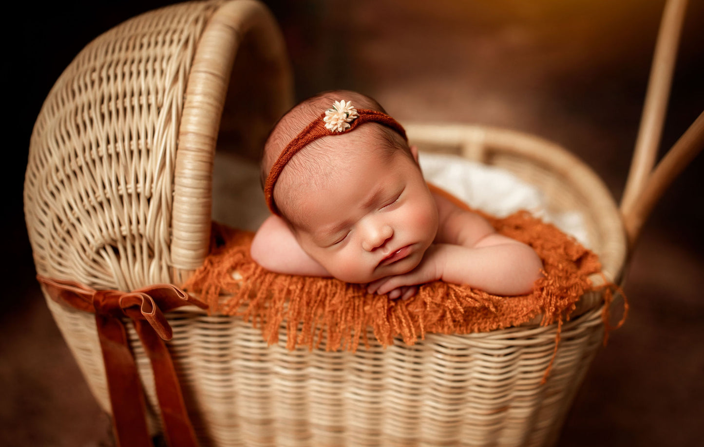 Emma's Enchanted Doll Pram