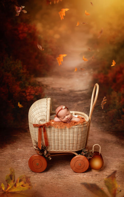Emma's Enchanted Doll Pram