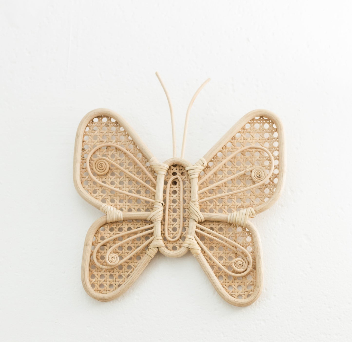Beautiful Butterfly Wall Decor