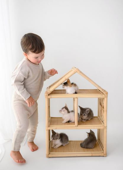 Daisy Haven Dollhouse