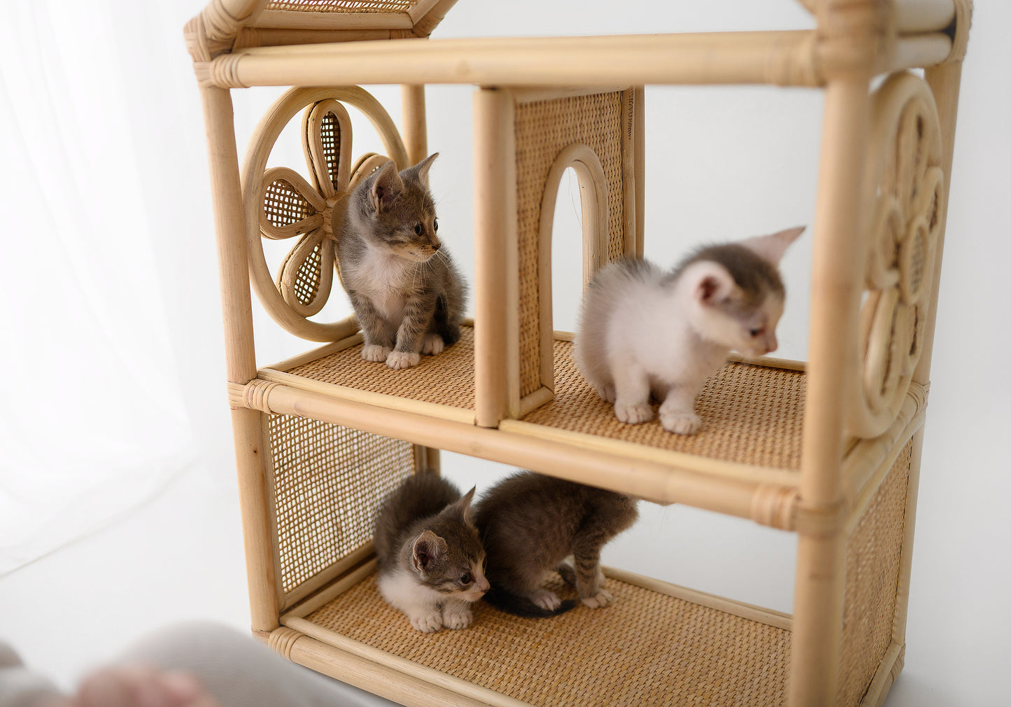 Daisy Haven Dollhouse