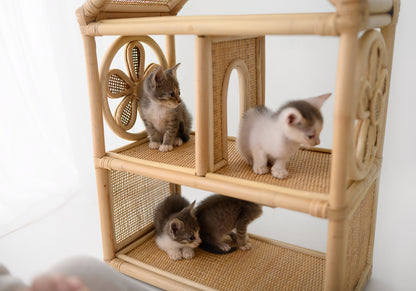 Daisy Haven Dollhouse
